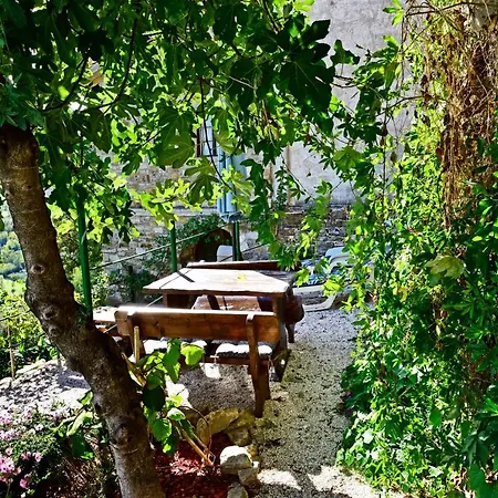 Luna Holiday home Motovun